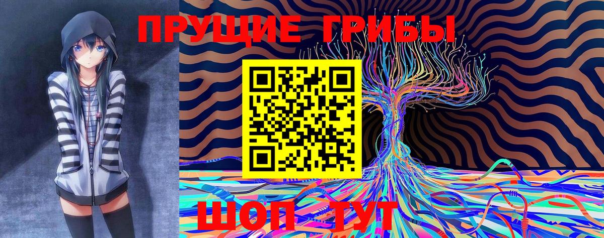 Псилоцибиновые грибы Magic Shrooms Мариинск